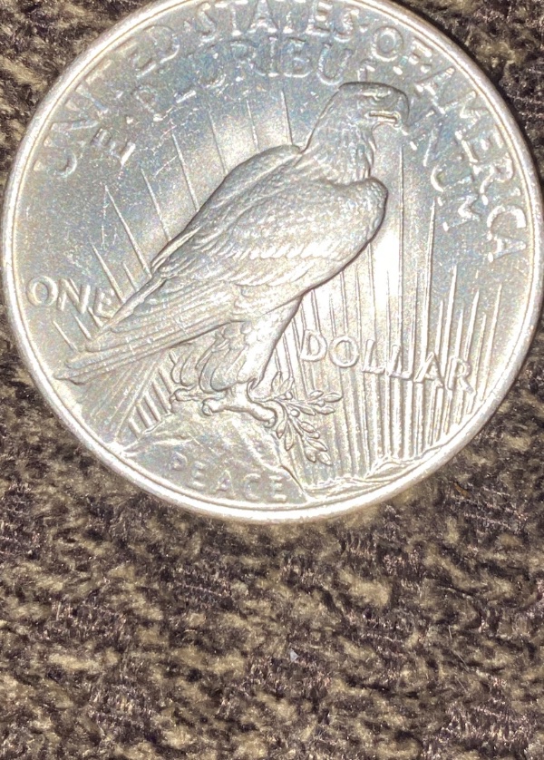 Help-Grading-This-1923-Peace-Dollar.